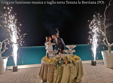Fontane luminose musica e taglio torta Tenuta la Borriana (PO)