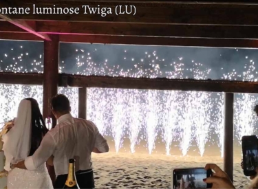 Musica e Fontane luminose Twiga (LU)