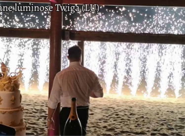 Musica e Fontane Luminose Twiga(LU)